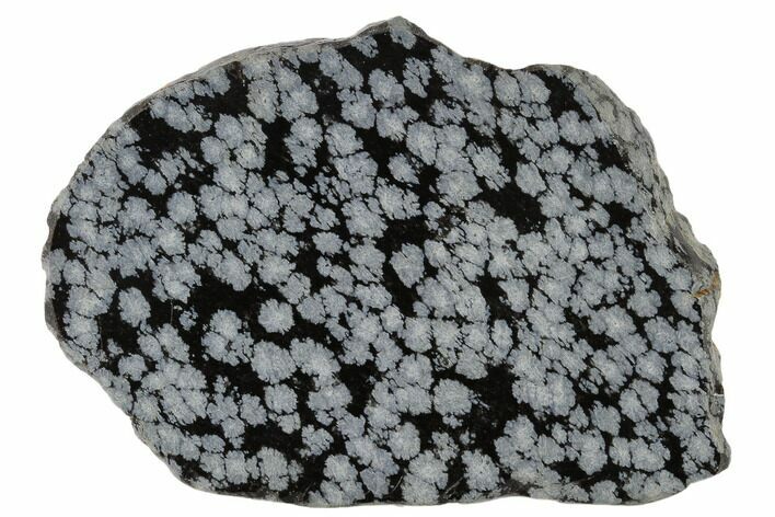 Polished Snowflake Obsidian Section - Utah #117767